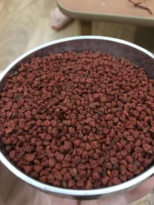 Hạt điều đỏ ( hạt cari ) (Gói 1kg)