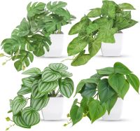 Small Potted Fake Plants Artificial Plants For Home Bedroom Aesthetic Living Room Bathroom Farmhouse Decor Indoor
