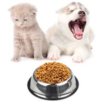 Dog Bowls with Rubber Base Non-Slip Puppy Dish Water Food Bowl Perfect Choice for Dog Puppy Cat and Kitten Gift