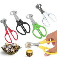 Sharp Quail Egg Cutter Pigeon Opener Stainless Steel Cigar Pigeon Bird Egg Topper Cutter Scissors for Kitchen Gadgets Tools