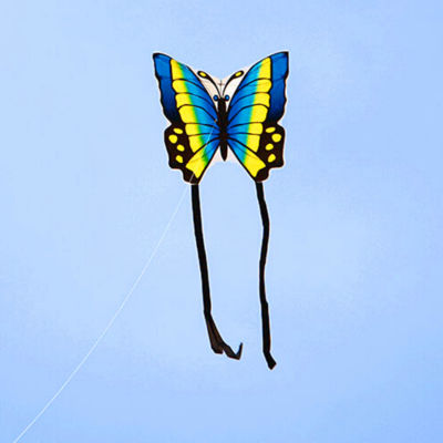 【cw】Free shipping high quality butterfly Kite with handle line children kite flying toys easy control ripstop nylon birds eagle Kite ！