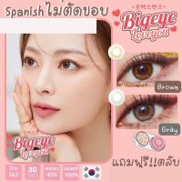 คอนแทคเลนส์?Spanish? Brown/Gray (Gaezz Secret/Montra) ขนาดมินิ?