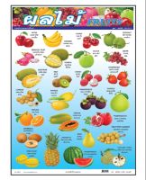 โปสเตอร์ผลไม้ (Fruits)  #PV045 โปสเตอร์สื่อการเรียนการสอน โปสเตอร์พลาสติก