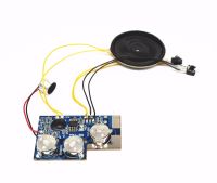 【CW】 YSJ-R3 20s 20secs Recorder Chip Sound Recording Module Talking Music Audio Recordable greeting card with kit