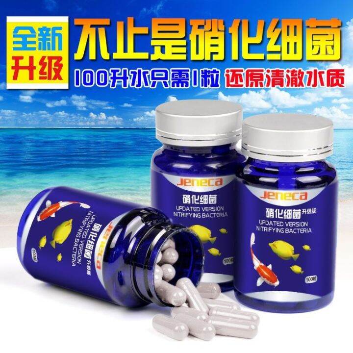 Aquarium nitrifying bacteria denitrifying bacteria aquarium fish