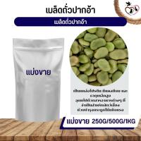 เมล็ดถั่วปากอ้า Broad beans อาหารนก กระต่าย หนู กระต่าย กระรอก ชูก้า และสัตว์ฟันแทะ (แบ่งขาย 250G / 500G / 1KG)