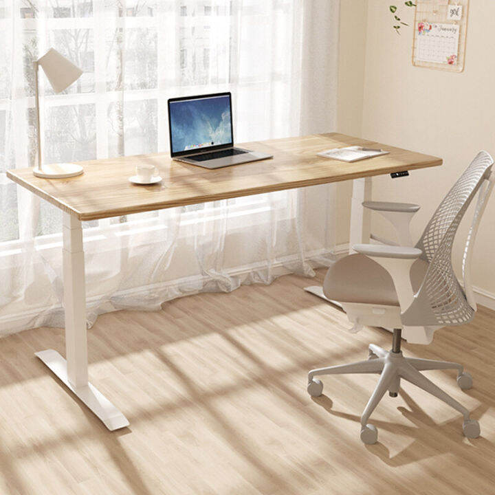 ToZient Ergonomic Desk office desk adjustable desk 2 motors 4 levels of