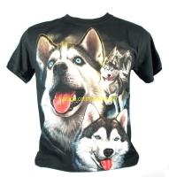 เสื้อลาย หน้าสุนัข ไซบีเรียน ฮัสกี้ siberian husky dog และลูก  ไซส์ยุโรป เสื้อยืดสีดำ สกรีนจมแน่น หน้าหลัง RCA206 2-3วันได้รับของ