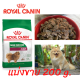 อาหารสุนัข รอยัลคานิน Royal Canin Mini Indoor Adult สูตรสุนัขโต อายุ 10 เดือน - 8 ปี แบ่งขาย 200 g. บรรจุถุงซิป  หมดอายุ 01/10/24