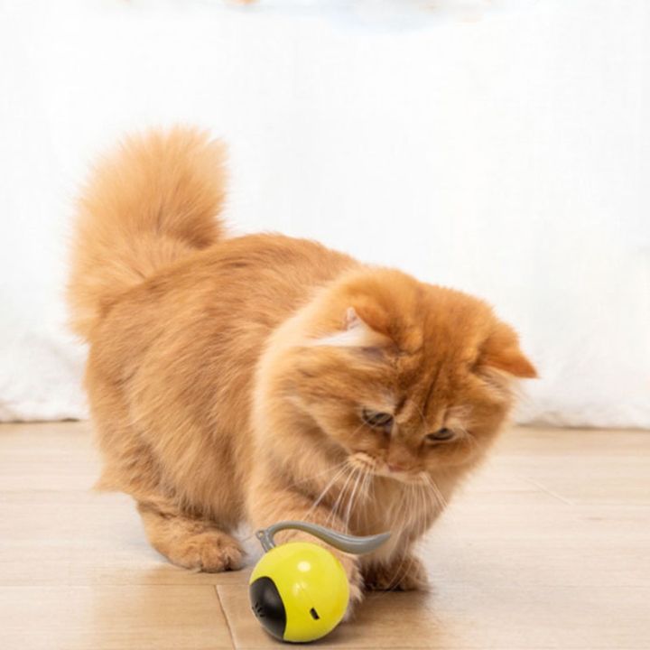 cod-ของเล่นแมว-ลูกบอลแมวอัติโนมัติ-ลูกแมวหยอกล้ออัตโนมัติ-สมาร์ทไฟฟ้า-หมุนได้-360-องศา-เรืองแสง