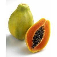 เมล็ด มะละกอ ฮาวาย hawai papaya seed บรรจุ 20 เมล็ด