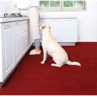 [Customize] TPR Absorbent Non-slip Cars Kitchen Kars Oil Absorption Doormat Kar Dapur