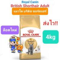 Exp.12/24 Royal Canin British Shorthair Adult 4kg โรยัลคานิน อาหารแมวโต พันธุ์บริติช ชอร์ทแฮร์ ขนสั้น ถุงขนาด 4 กิโลกรัม