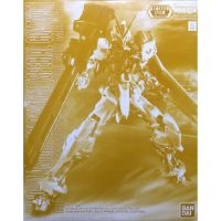 MG Gundam Astray Gold Frame Special Coating