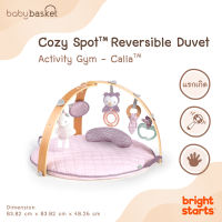 เพลย์จิม ที่นอนสำหรับเด็กแรกกิด พร้อมโมบายของเล่น Gym Cozy Spot Reversible จาก Bright Starts