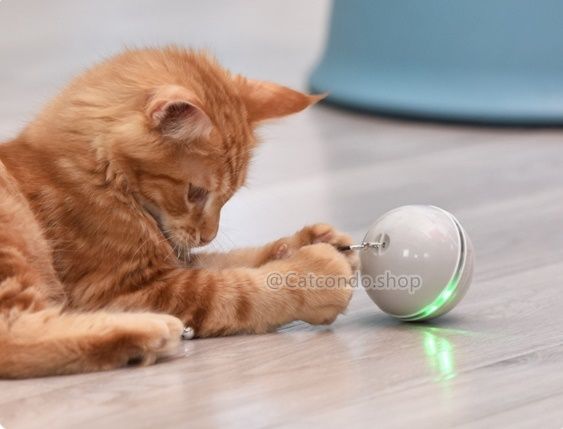 ของเล่นแมว-ลูกบอลแมว-บอลเลเซอร์ไฟฟ้า-ขนนกล่อแมว-บอลเลเซอร์