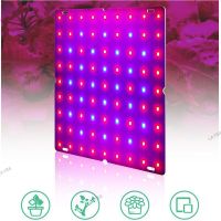 5 types LED Plant Grow Light Phyto Lamp Kit  Indoor Growing Tent Full Spectrum Hydroponics For Veg Flower YB8TH