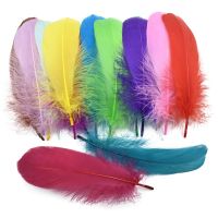 20Pcs Colorful Feathers for Crafts Decoration Catcher Geese Feather Wedding Handicraft Accessories