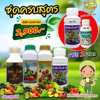 นุชฟอร์ไลฟ์ชุด 4 ขวดใหญ่ครบสูตร ขนาด500cc+แว็กฟรีขนาด100cc  แถม 1เล็ก +1 ขวดใหญ่/ปุ๋ยน้ำ อาหารเสริมพืชทางใบ / สินค้าเกษตรปลอดภัย ฮอร์โมนพืช