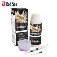 ทะเลแดง Aiptasia-X รับประกันการกำจัดแนวปะการังอย่างปลอดภัยของ Aiptasia Redsea พิพิธภัณฑ์สัตว์น้ำการบำบัดน้ำ