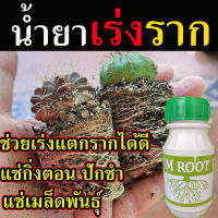 ?ของแท้ ส่งในไทย? ! น้ำยาเร่งราก M Root ขนาด​ 250 ซีซี เร่งราก วิตามินเร่งราก ฮอร์โมนพืช เพียงแช่กิ่ง รากขึ้นตรึม ใช้ง่าย