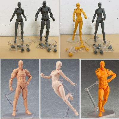 BODY KUN BODY CHAN Action Figure Archetype He She Ferrite Collectible Model Toy with Stand Joint Movable Doll Gift For Friends