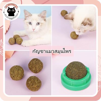 ❤️ของเล่นแมว Catnip ลูกบอลแมว ลูกบอลล่อแมว ผงcatnip ลูกบอลcatnip❤️