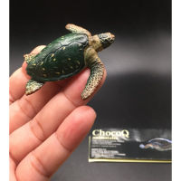 ฟิกเกอร์ สัตว์จิ๋ว เต่าทะเล เต่าตนุ Kaiyodo Animatales Choco Q Series 6 Green sea turtle Figure japan import RARE