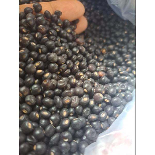 KADYOS BEANS 250g/500g/1kg Lazada PH