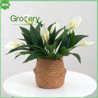 Spathiphyllum ประดิษฐ์ดอกไม้เสมือนจริง42ซม. PV PVC DIY ของขวัญดอกไม้ประดับบ้านอุปกรณ์ประกอบฉาก DIY