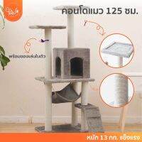 PawSociety คอนโดแมว 125cm 12kg แข็งแรง กำมะหยี่บุนิ่มทั้งหลัง พร้อมที่ฝนเล็บ เปลบ้านบันได ของเล่น