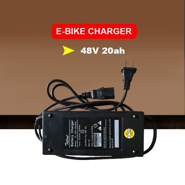 charger 48v 20ah