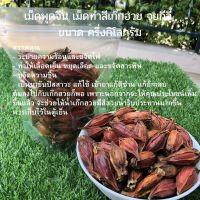 เม็ดพุดจีน หรือ กีจี้ (栀子)500g(ครึ่งกิโลกรัม) พใช้สำหรับใส่อาหาร ขนม และเครื่องดื่ม