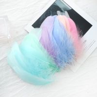 100pcs Feathers Plumes 4-8cm 8-12cm Colourful Feather for Decoration Jewelry