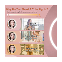 10X LED Mirror Rechargeable Make Up Mirror with 3 Colors, Brightness Adjustable Magnification Cosmetic Mirror 2 Side