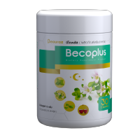 Becoplus Dietary Supplement Product ผลิตภัณฑ์เสริมอาหารบีโคพลัส 30 capsules