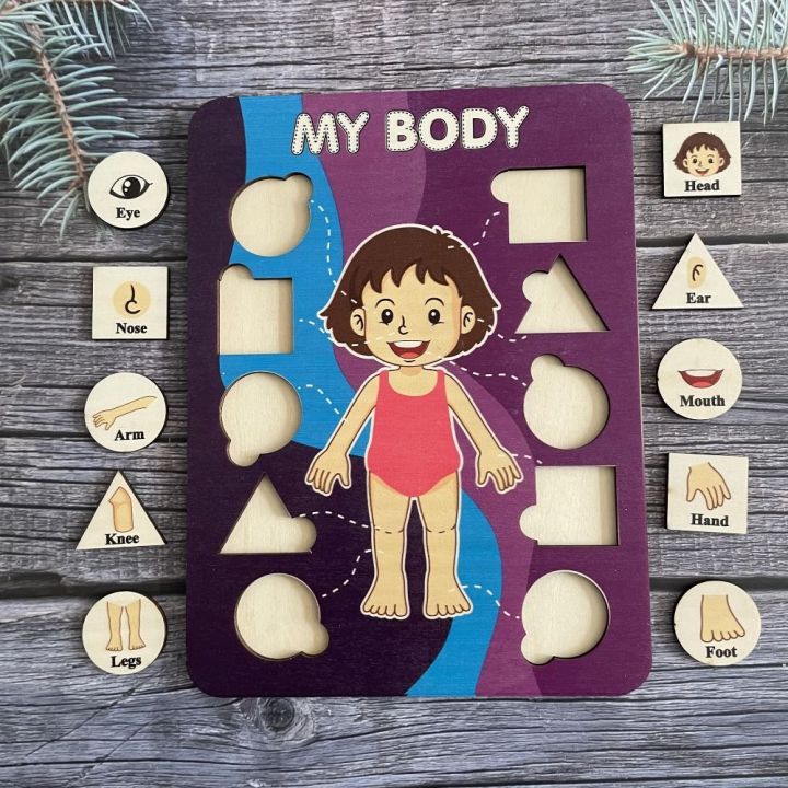 VJDA Human Body Parts Cognition Human Body Structure Early Education