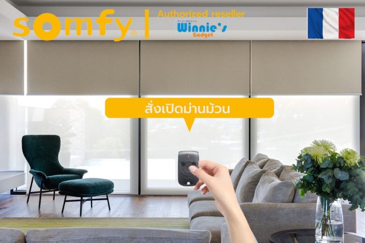 somfy-ขายส่ง-รีโมทควบคุม-somfy-keytis-rts-ระบบ-rts-ป้องกันการโจรกรรมทุกรูปแบบ-ระยะ-30-เมตร-ใช้งานได้ถึง-2-อุปกรณ์