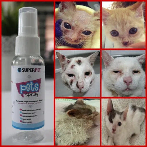 READY STOCK🔥UBAT SPRAY UNTUK KUCING ANJING PET ( KURAP, KUDIS, FUNGUS