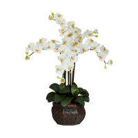 Phalaenopsis กับแจกันตกแต่งการจัดดอกไม้ประดิษฐ์,ครีมบ้านตกแต่งสวนพรรคโรงแรมตกแต่ง