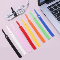 T-type Cable Tie Reusable Cable Tie 14.5 x 1.2cm Color Computer Data Cable Power Cable Tie