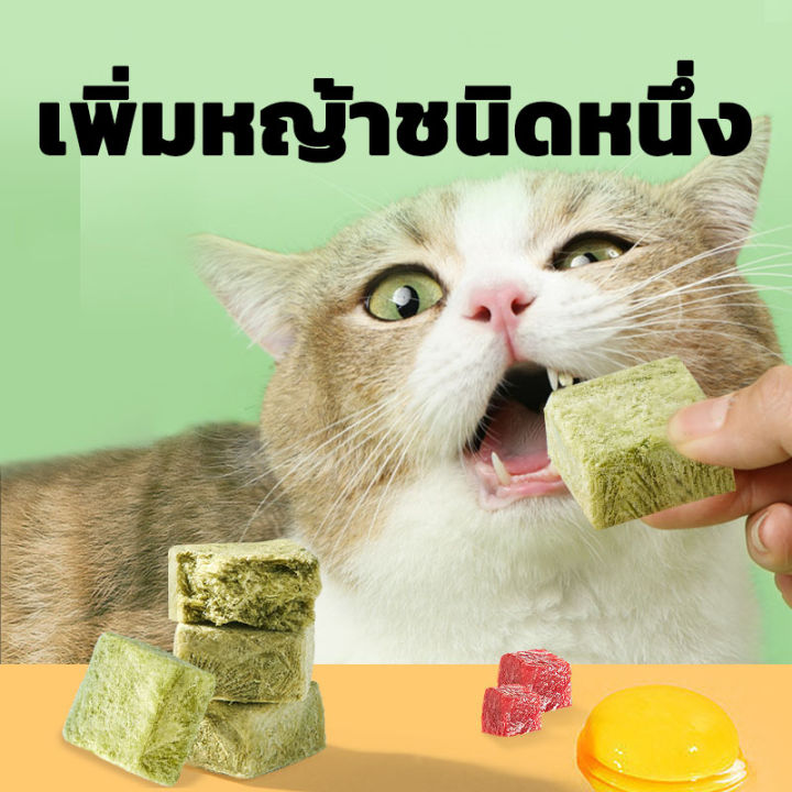 หญ้าแมวอัดเม็ด-ขนมแมว-ฟรีซดราย-ขนมแมวใส่ลูกบอล-กำจัดขนลูกแมว-ขนมแมว-ขนมสัตว์เลี้ยง
