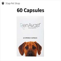 Renavast สุนัข 60 Capsules อาหารเสริมสุนัขโรคไต อาหารเสริมโปรตีน สุนัข 60 แคปซูล (1 กล่อง)