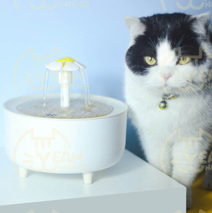 Automatic Water Fountain For Cats Pets Drinking Fountain 2L Lazada PH