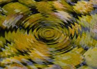 ❍✵ Zen Garden Pond Ripples Art ฟิล์มพิมพ์ผ้าไหมโปสเตอร์ Home Wall Decor 24x36inch