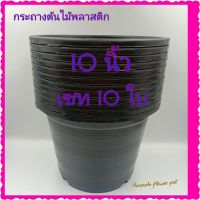 ✧✙❅ กระถางต้นไม้สีดำ 10 นิ้ว เซท ใบ กระถางต้นไม้พลาสติกสีดำ กระถางปลูกต้นไม้ สูง 7.5