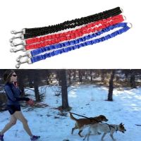 【LZ】 Pet Dog Coupler Leash Double Dog Walking Lead Bungee Elastic Two Dogs Leash Splitter