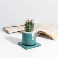 ECOTOPIA CHARLIES POTTERY 3 Paletta Planter Teal