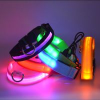 ◐▩™ Multi-color USB Charging LED Dog Collar Puppy Collar Safety Led Luminous Dog Pet Light Up Collar Anti-loss Collar Pet Supplies