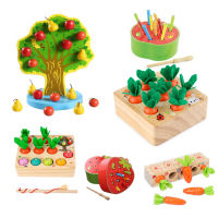 เด็กรูปร่างจับคู่ปริศนาของเล่น Montessori ของเล่นเพื่อการศึกษาเด็กแครอทเก็บเกี่ยวเกมไม้ของเล่น Sorters สำหรับเด็ก1 2 3ปี